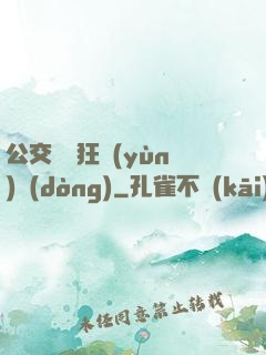 公交車瘋狂運(yùn)動(dòng)