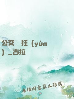 公交車瘋狂運(yùn)動