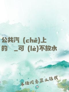 公共汽車(chē)上的輪桿