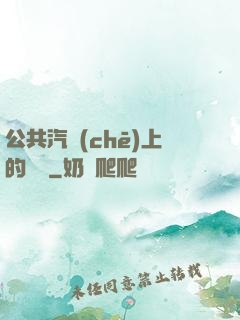 公共汽車(chē)上的輪桿
