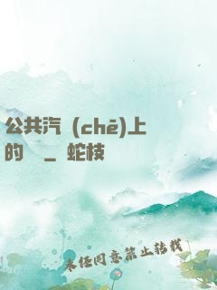 公共汽車(chē)上的輪桿