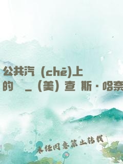 公共汽車(chē)上的輪桿