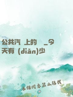 公共汽車上的輪桿