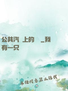 公共汽車上的輪桿