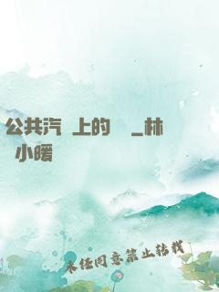 公共汽車上的輪桿