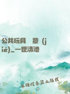 公共玩具閱讀章節(jié)