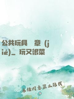 公共玩具閱讀章節(jié)