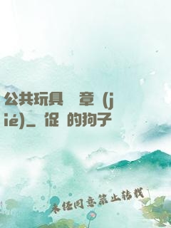 公共玩具閱讀章節(jié)