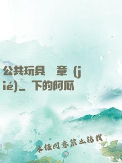 公共玩具閱讀章節(jié)