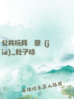 公共玩具閱讀章節(jié)