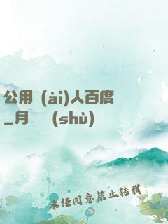 公用愛(ài)人百度