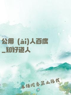公用愛(ài)人百度