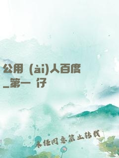 公用愛(ài)人百度