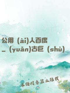 公用愛(ài)人百度
