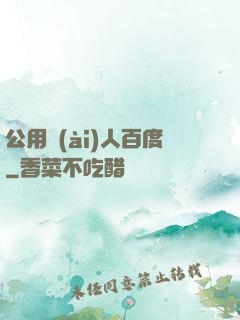 公用愛(ài)人百度