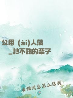 公用愛(ài)人菠蘿筆記