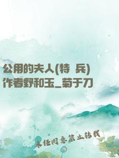 公用的夫人(特種兵)作者野和玉