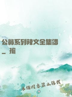 公翁系列辣文全集借種