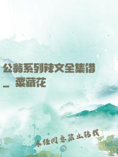 公翁系列辣文全集借種