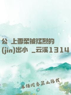 公車上雪柔被猛烈的進(jìn)出小說