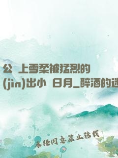公車上雪柔被猛烈的進(jìn)出小說日月