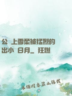 公車上雪柔被猛烈的進出小說日月