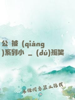 公車被強(qiáng)系列小說