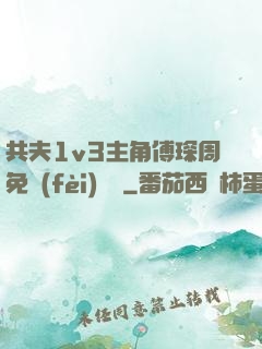 共夫1v3主角傅琛周免費(fèi)閱讀