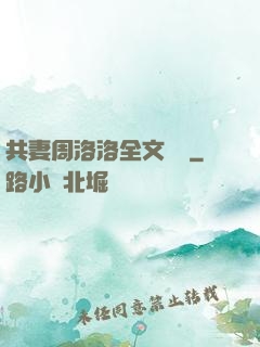 共妻周洛洛全文閱讀