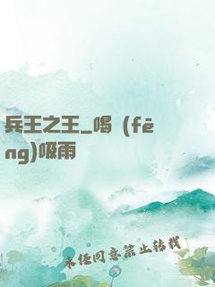 兵王之王