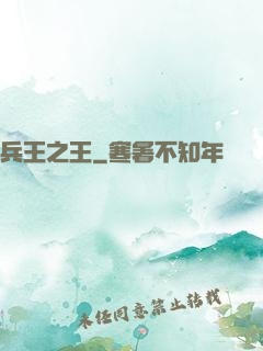 兵王之王