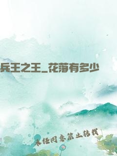 兵王之王
