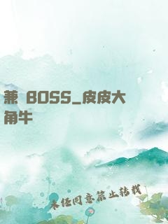 兼職BOSS