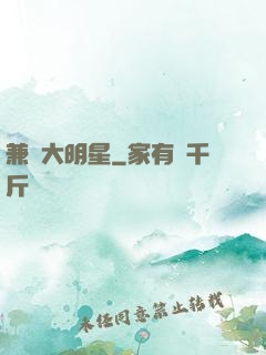 兼職大明星