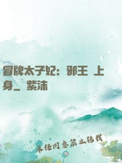 冒牌太子妃：邪王寵上身