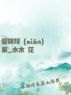 冒牌探險(xiǎn)家