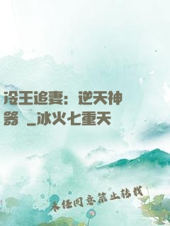 冷王追妻：逆天神級煉器師
