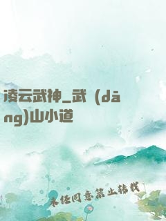 凌云武神