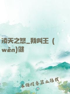 凌天之怒