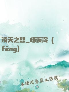 凌天之怒