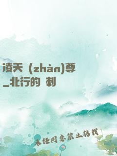 凌天戰(zhàn)尊