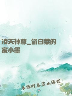 凌天神尊