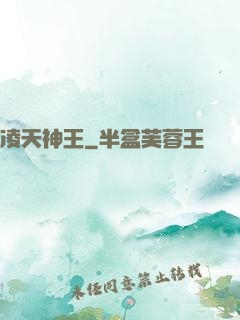 凌天神王