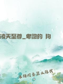 凌天至尊