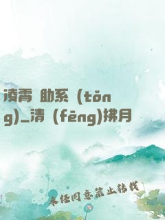 凌霄輔助系統(tǒng)