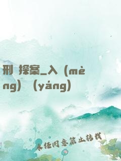 刑偵探案