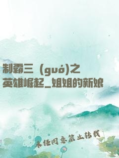 制霸三國(guó)之英雄崛起