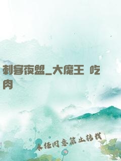 刺客夜盟