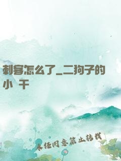 刺客怎么了