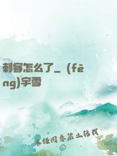 刺客怎么了